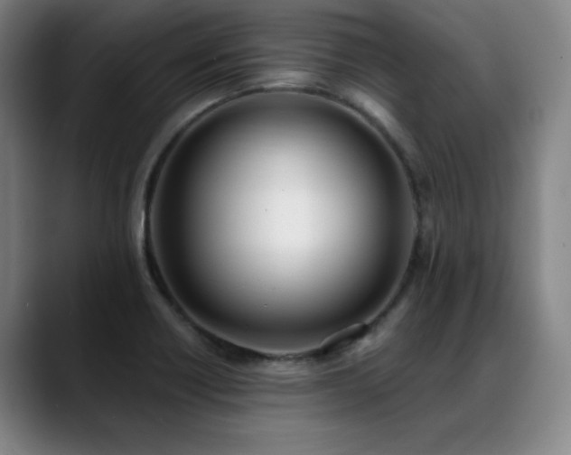 X0000089421418200706151242