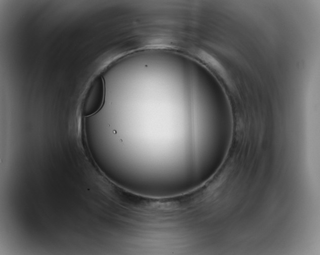X0000089421419200706151242