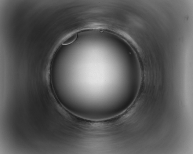 X0000089421421200706151242