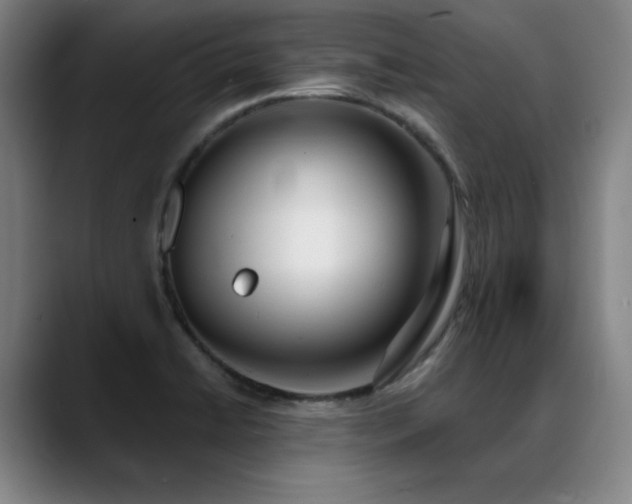 X0000089421422200706151242