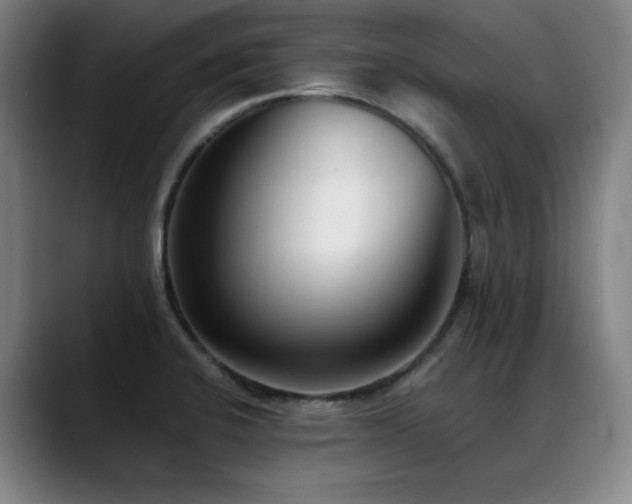 X0000089421424200706151242