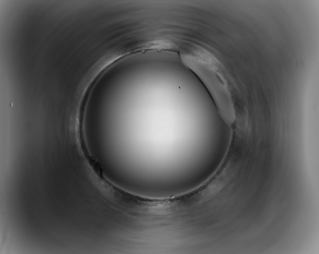 X0000089421426200706151242