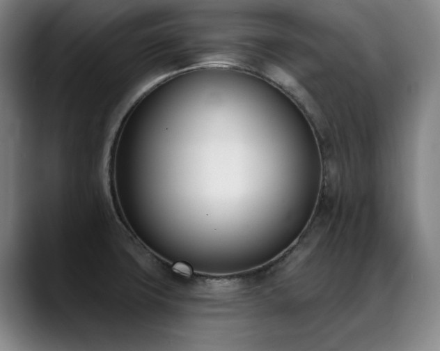 X0000089421427200706151242