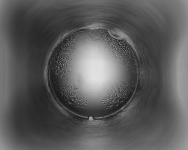 X0000089421429200706151242