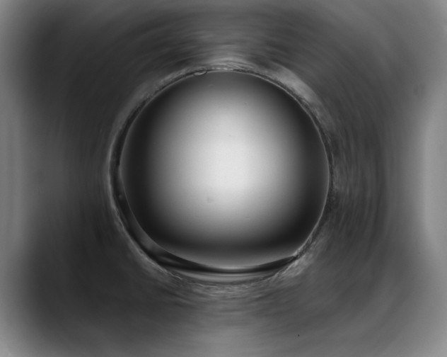 X0000089421430200706151242