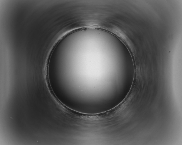 X0000089421432200706151242
