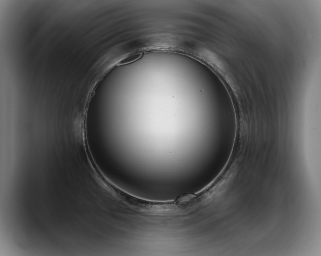 X0000089421433200706151242