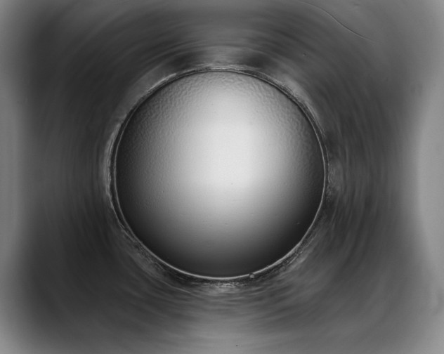 X0000089421435200706151242