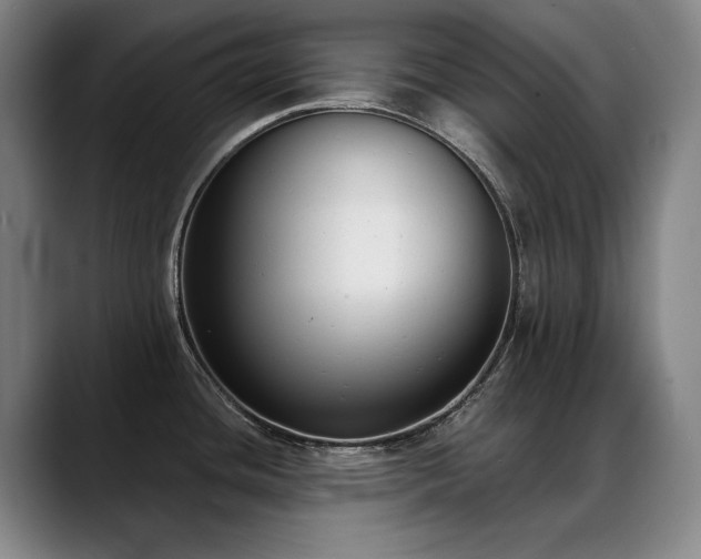 X0000089421436200706151242