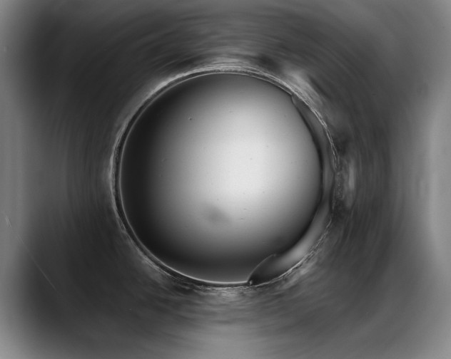 X0000089421438200706151242