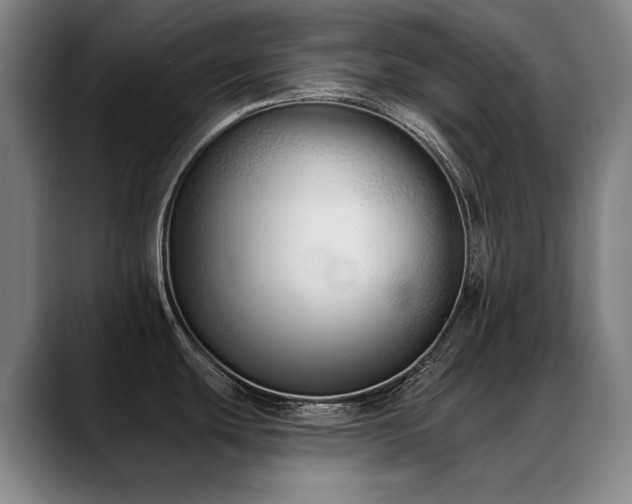 X0000089421439200706151242