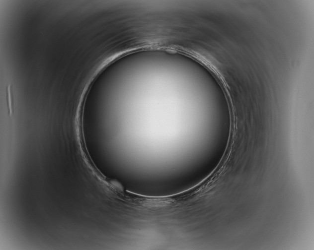 X0000089421440200706151242