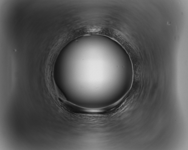 X0000089421441200706151242