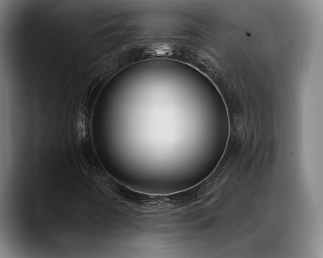 X0000089421442200706151242