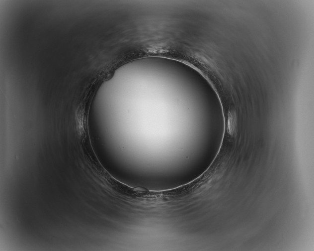X0000089421444200706151242