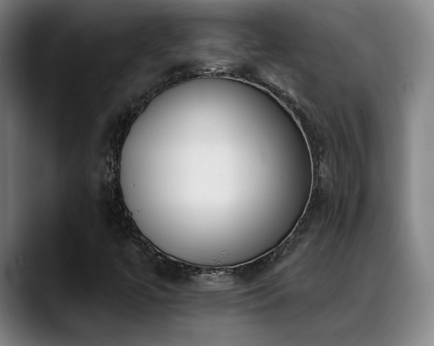 X0000089421447200706151242