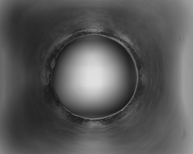 X0000089421448200706151242
