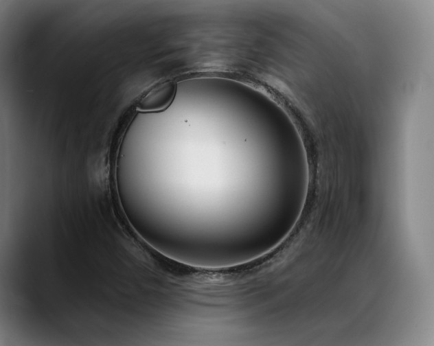 X0000089421450200706151242