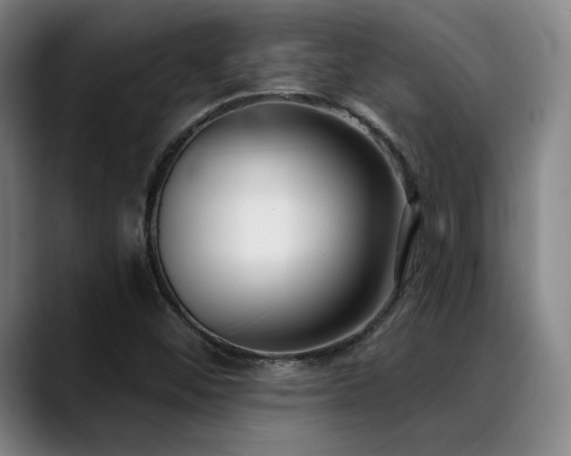 X0000089421452200706151242