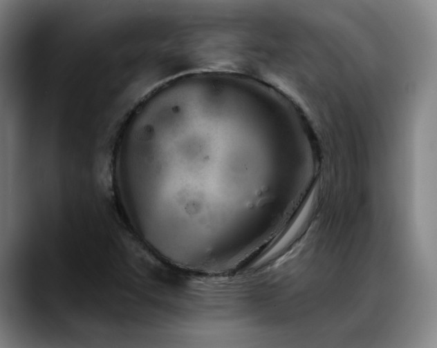 X0000089421455200706151242