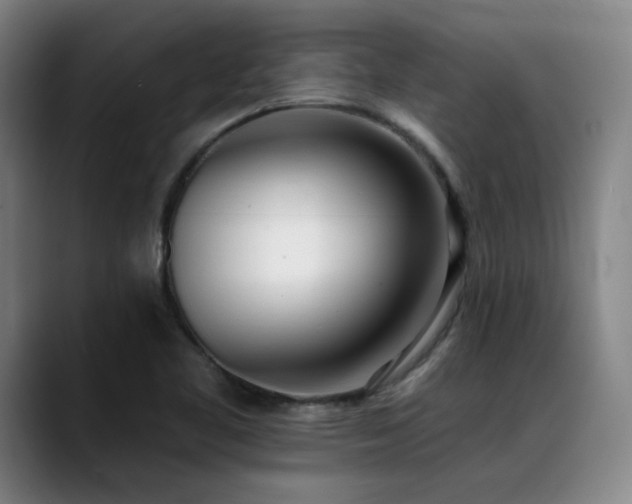 X0000089421461200706151241