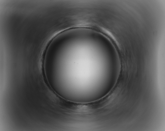 X0000089421463200706151241