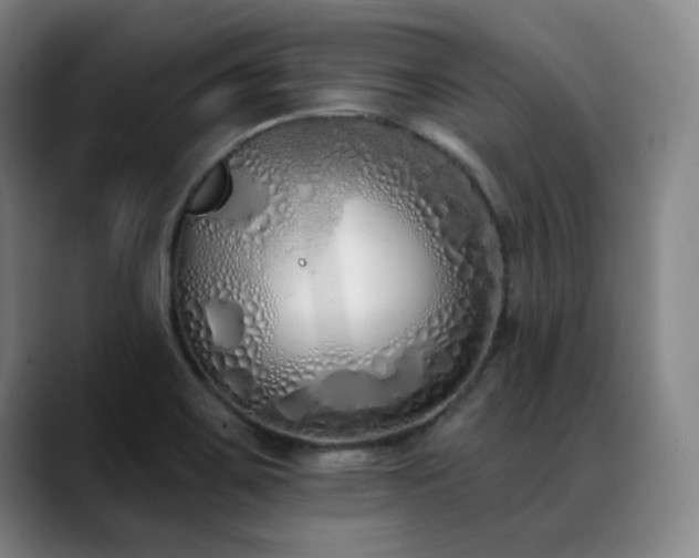 X0000089421467200706151241