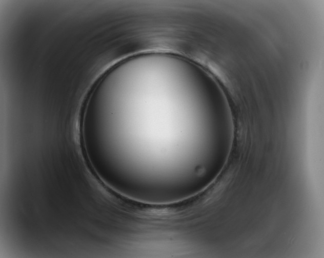 X0000089421468200706151241