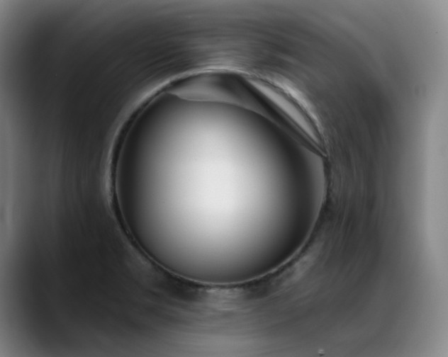 X0000089421469200706151241
