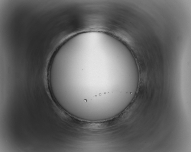 X0000089421470200706151241