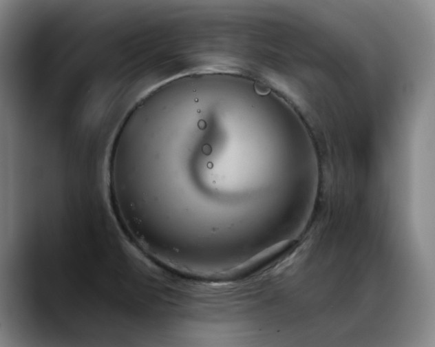 X0000089421471200706151241