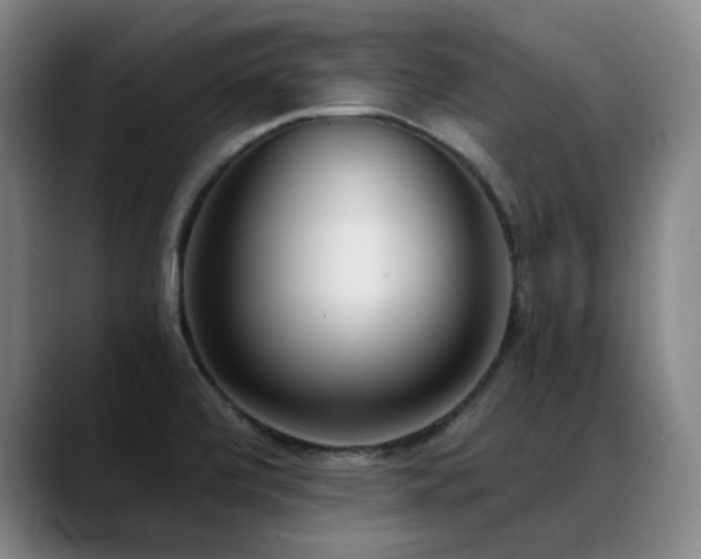 X0000089421472200706151241
