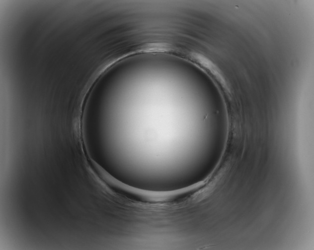 X0000089421473200706151241