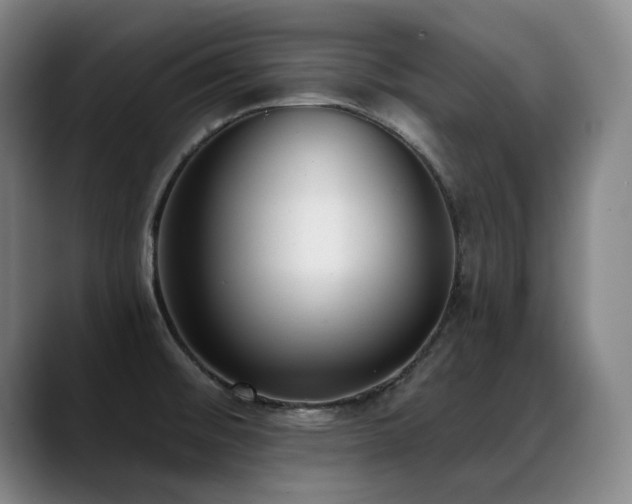 X0000089421476200706151241