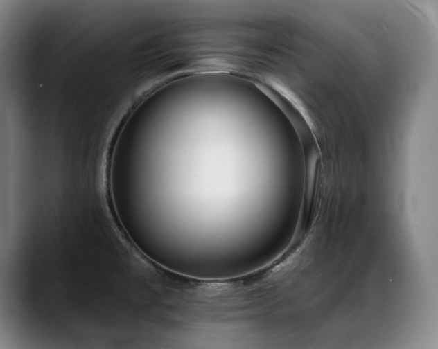 X0000089421477200706151241