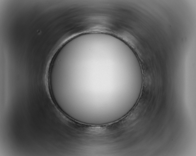 X0000089421478200706151241