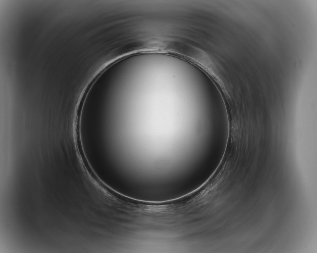 X0000089421484200706151241