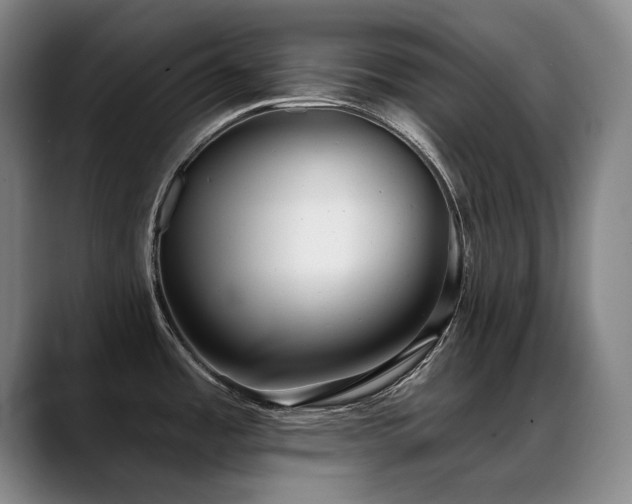 X0000089421485200706151241