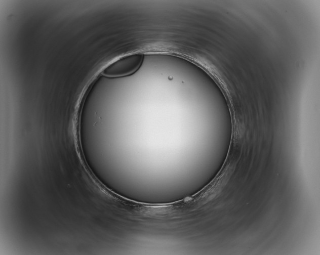 X0000089421486200706151241