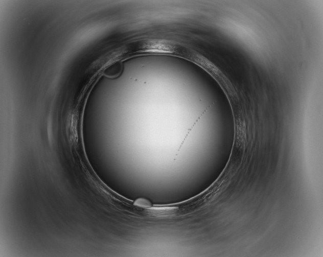 X0000089421487200706151241