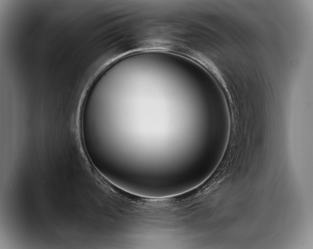 X0000089421488200706151241
