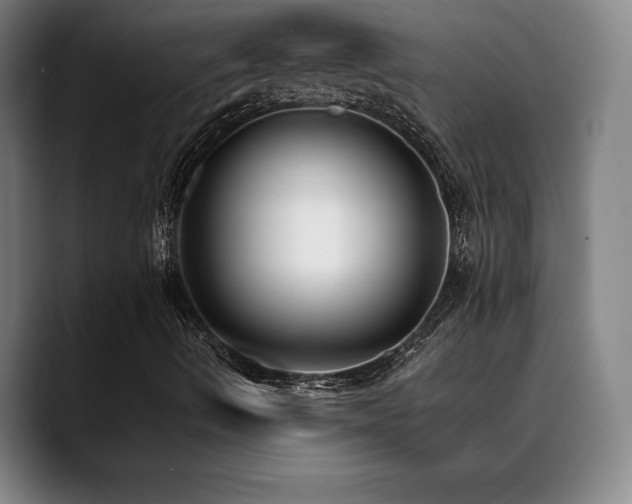 X0000089421490200706151241
