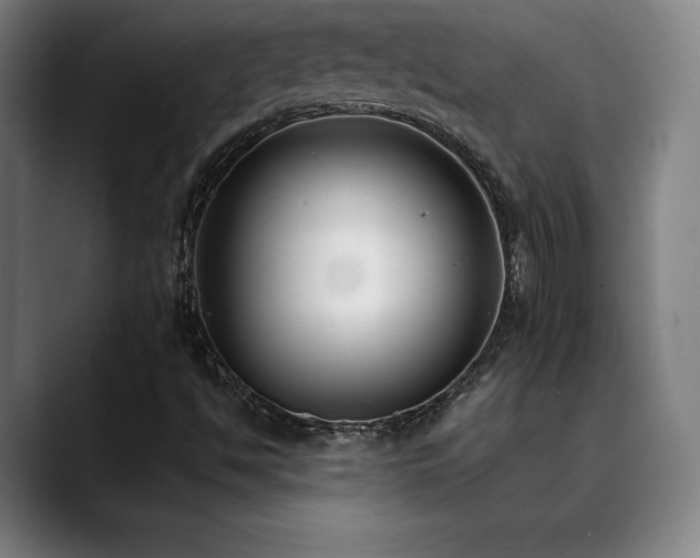 X0000089421494200706151241