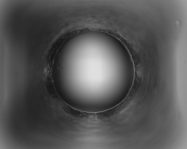 X0000089421495200706151241
