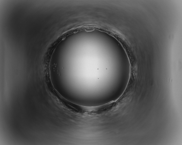 X0000089421496200706151241