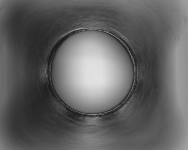 X0000089421498200706151241