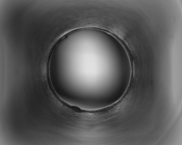 X0000089421500200706151241