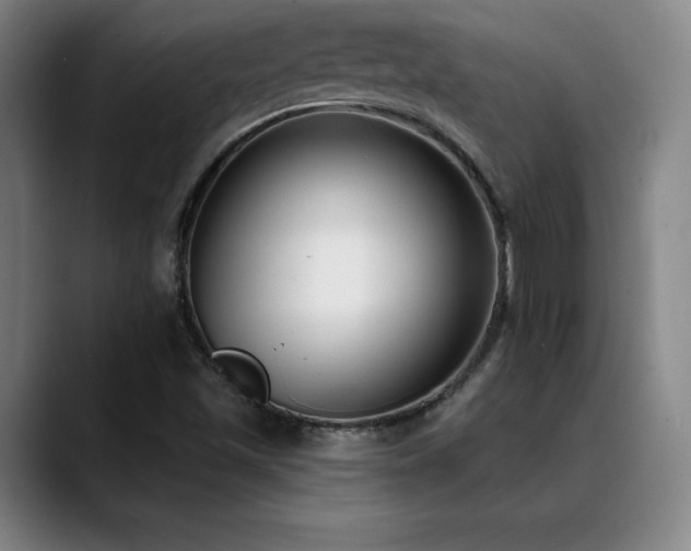 X0000089421501200706151241