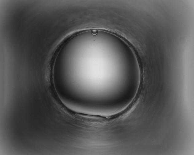 X0000089421502200706151241