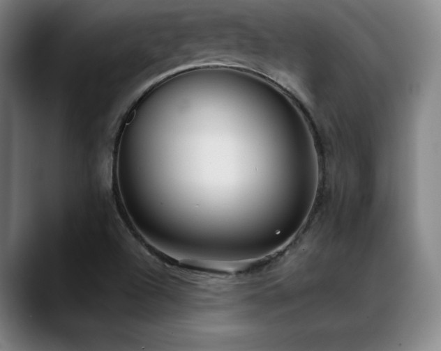 X0000089421504200706151241